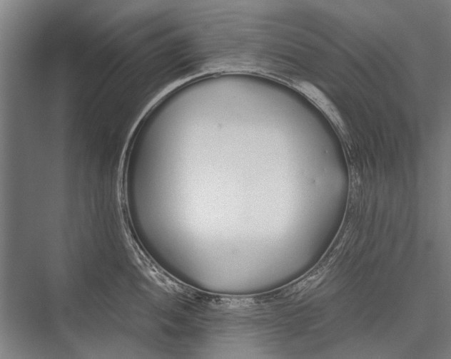 X0000075411052200610061952