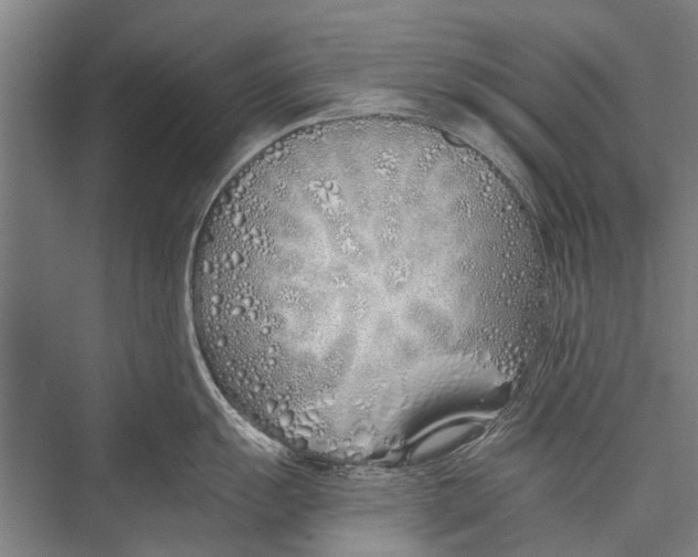 X0000075411055200610061952