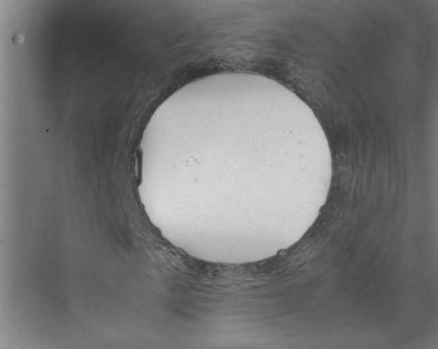 X0000075411057200610061952