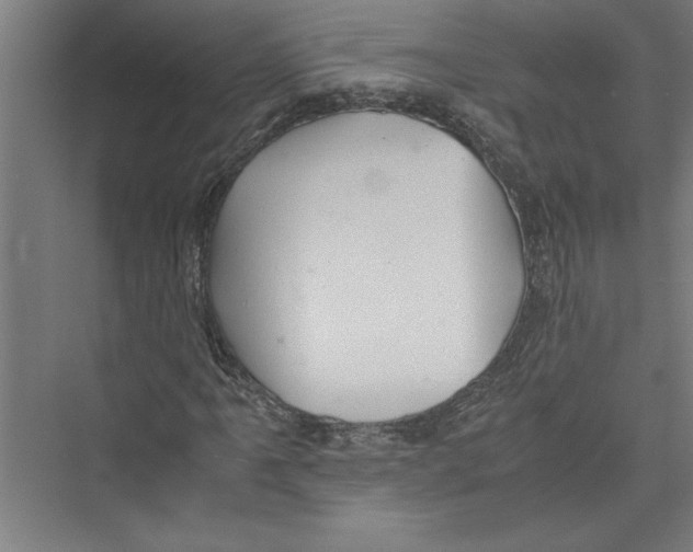 X0000075411061200610061951