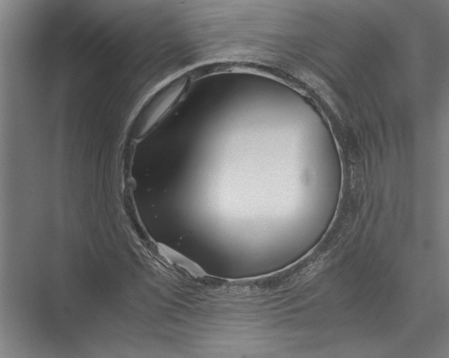 X0000075411069200610061951