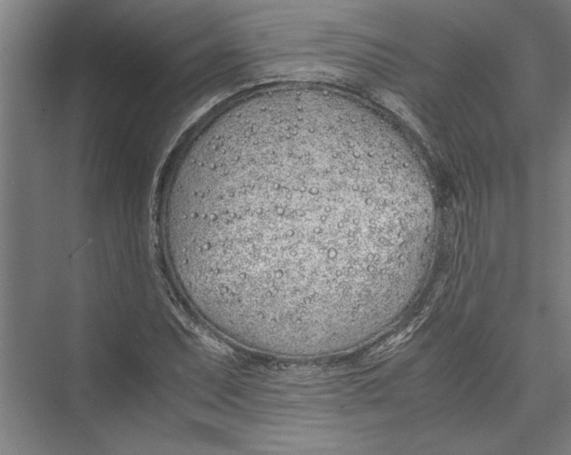 X0000075411071200610061951