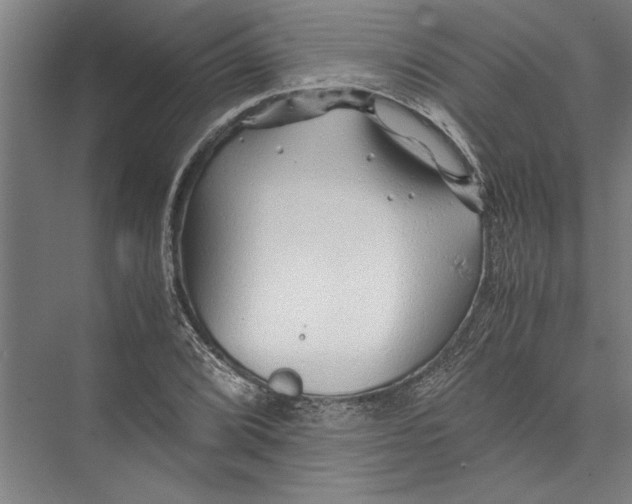 X0000075411072200610061951