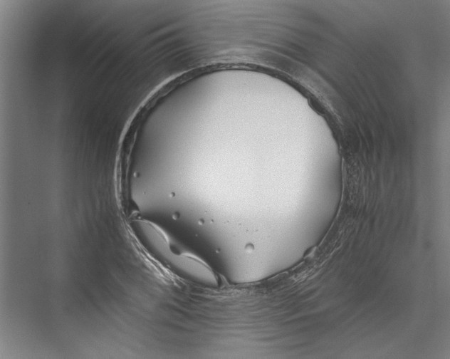 X0000075411076200610061951