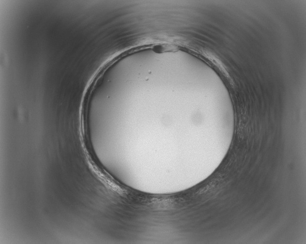 X0000075411080200610061951