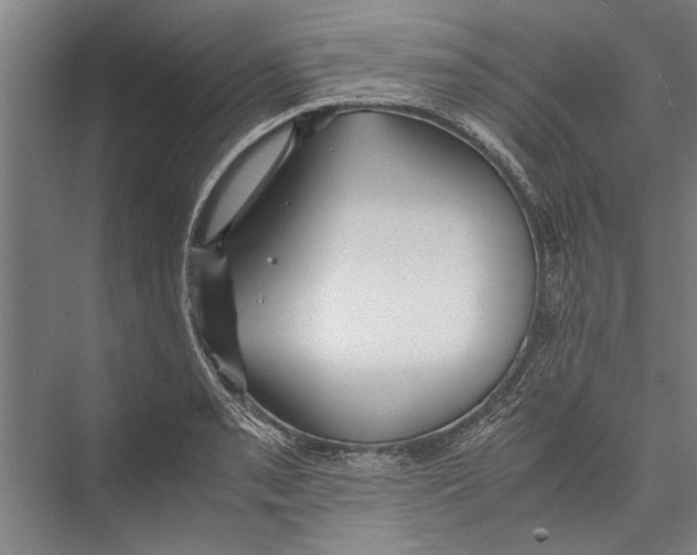 X0000075411085200610061951