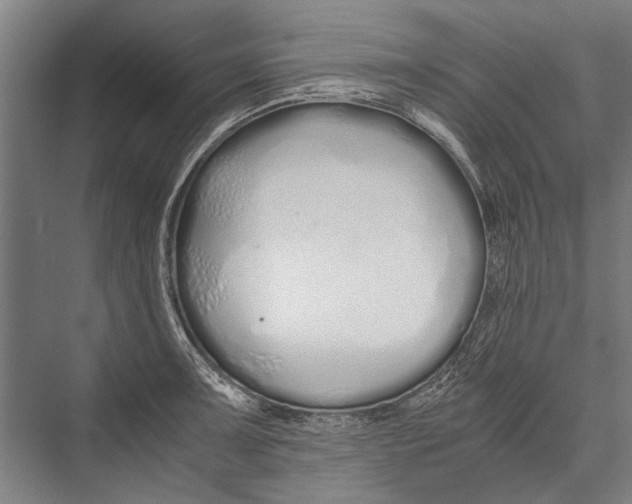 X0000075411091200610061951