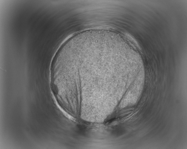 X0000075411095200610061951