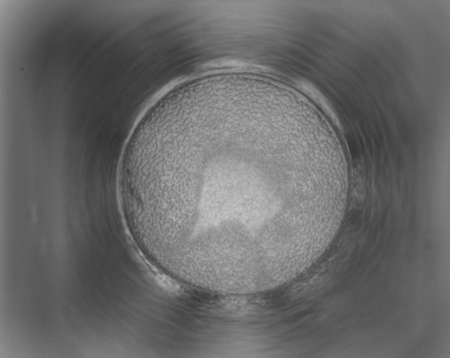 X0000075411098200610061951