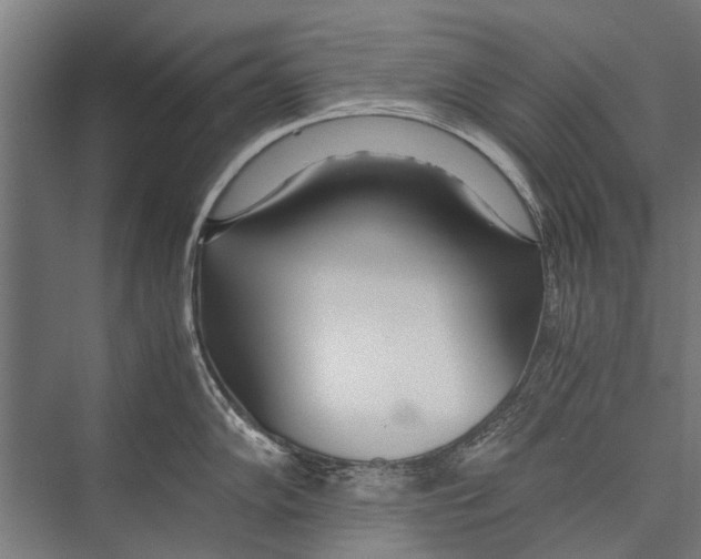 X0000075411102200610061951