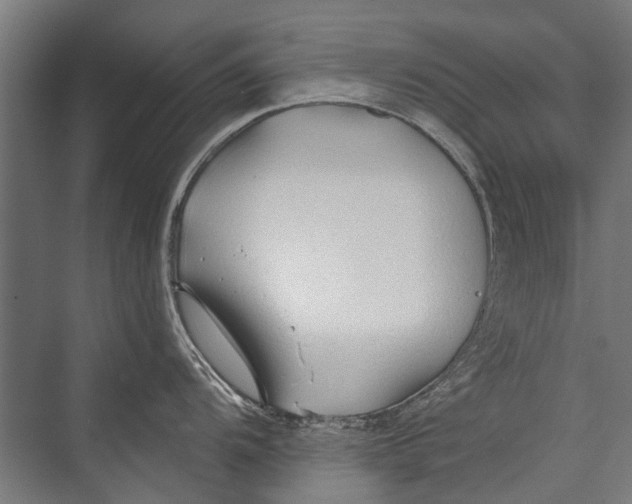 X0000075411104200610061951