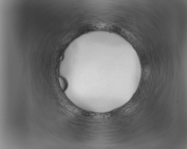 X0000075411105200610061950