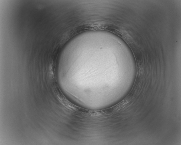 X0000075411106200610061950