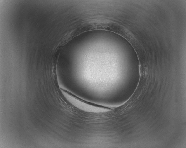 X0000075411108200610061950