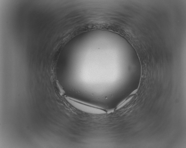 X0000075411109200610061950