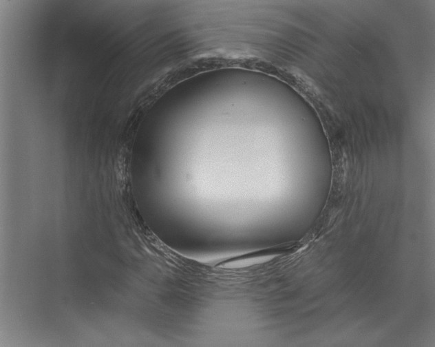 X0000075411110200610061950