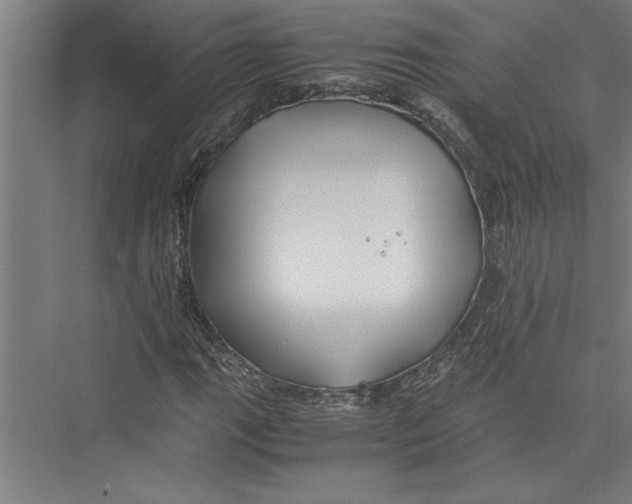 X0000075411111200610061950