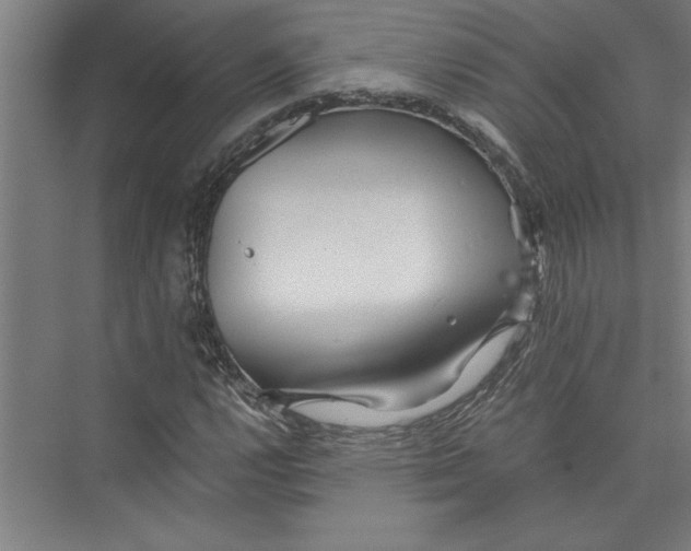 X0000075411112200610061950