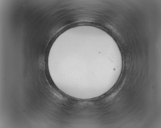 X0000075411113200610061950