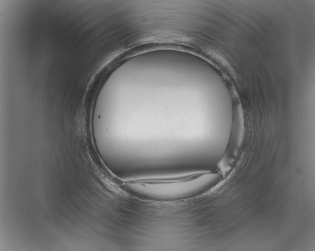 X0000075411114200610061950