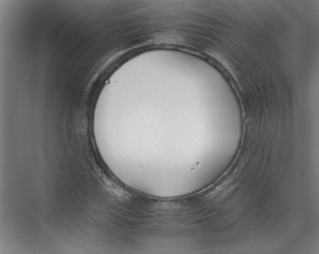 X0000075411115200610061950