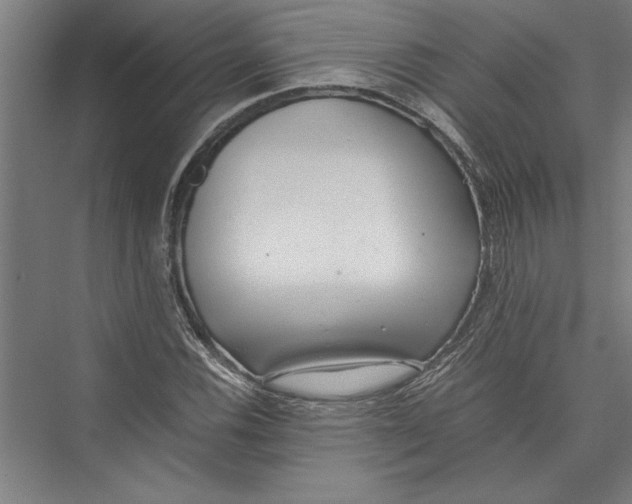 X0000075411116200610061950