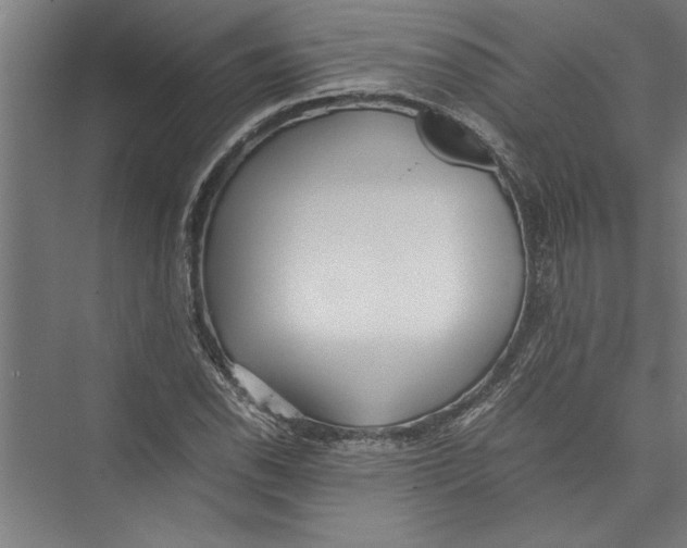 X0000075411118200610061950