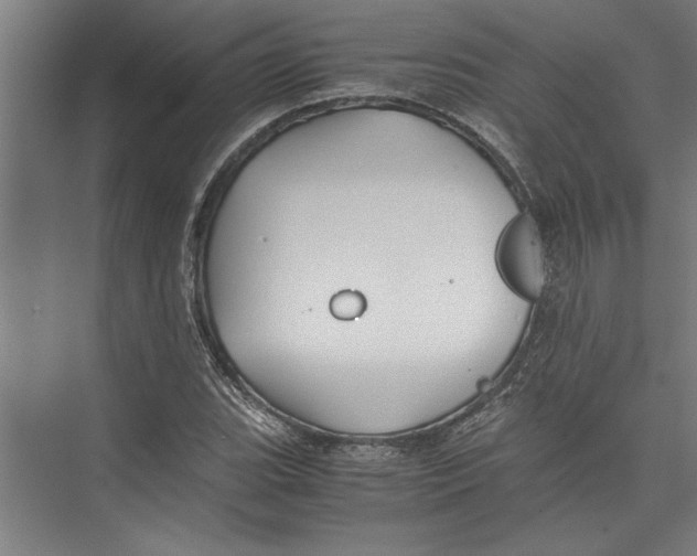 X0000075411119200610061950