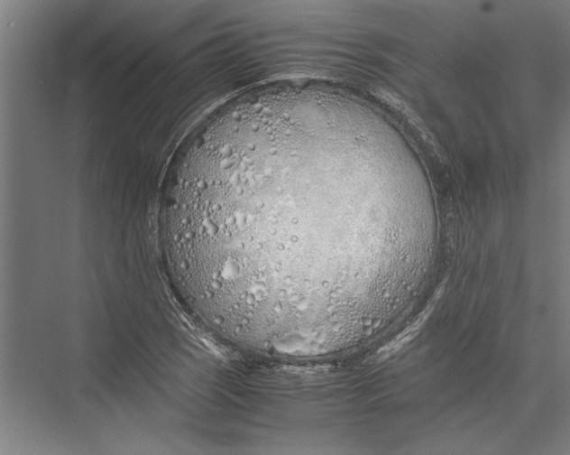 X0000075411121200610061950