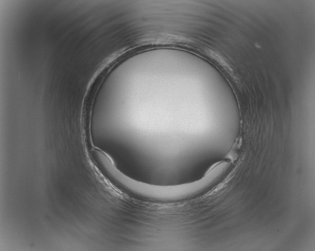 X0000075411122200610061950