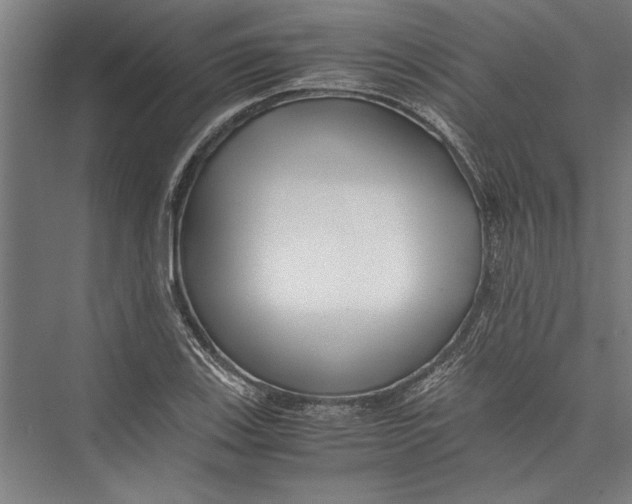 X0000075411123200610061950