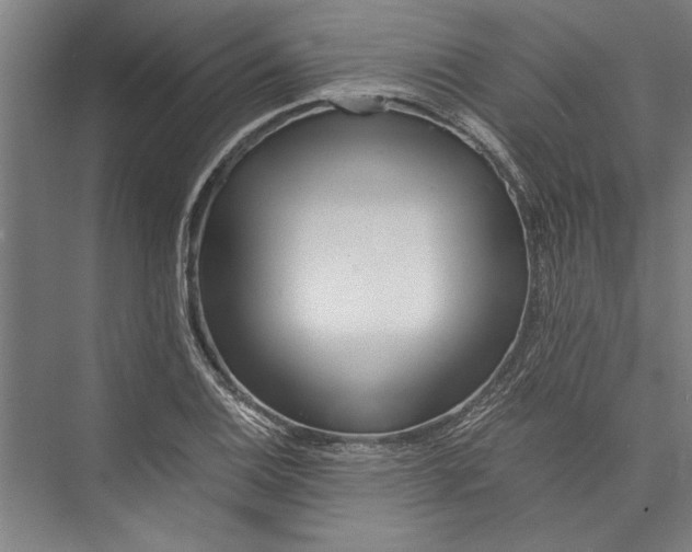 X0000075411124200610061950