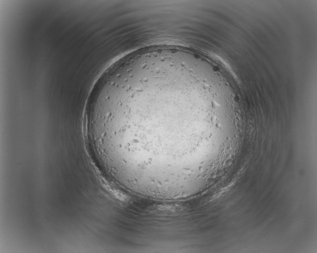 X0000075411125200610061950