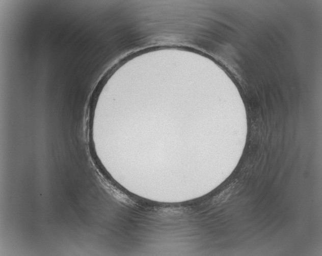 X0000075411126200610061950