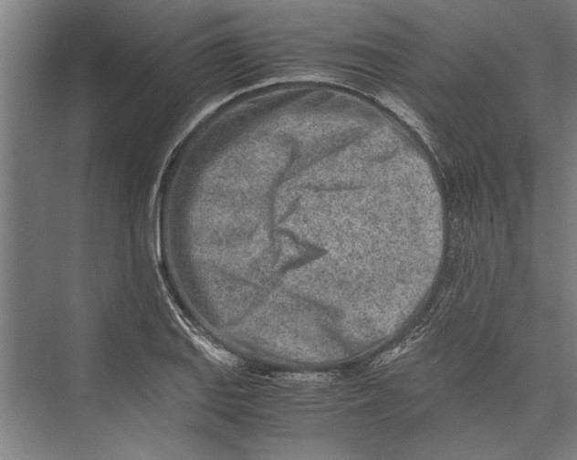 X0000075411127200610061950