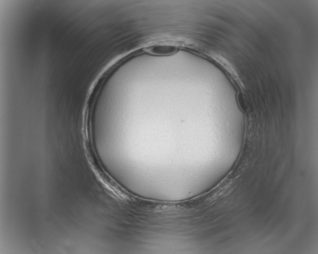 X0000075411128200610061950