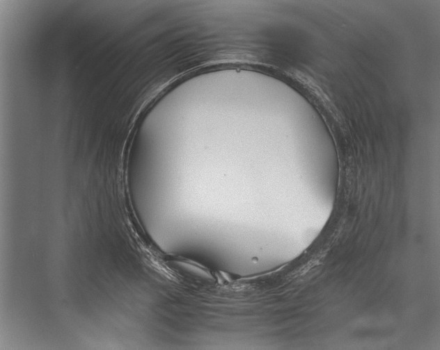 X0000075411129200610061950