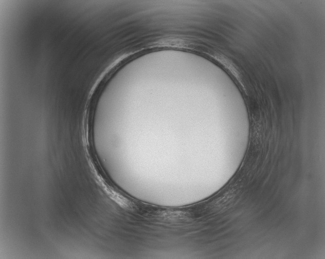 X0000075411131200610061950