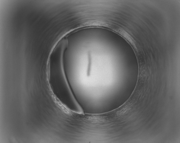 X0000075411132200610061950