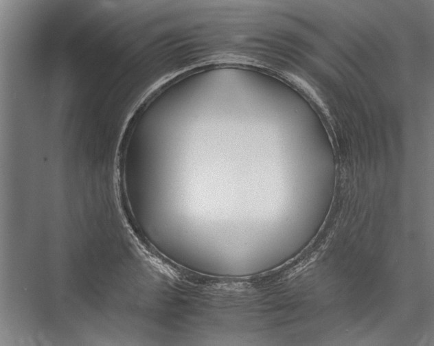 X0000075411133200610061950