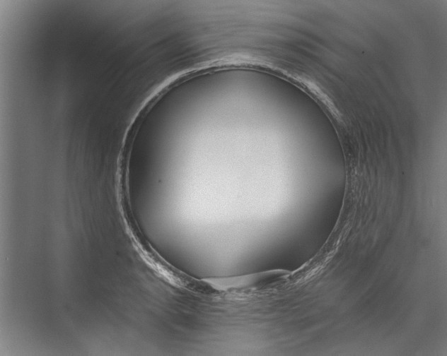 X0000075411134200610061950