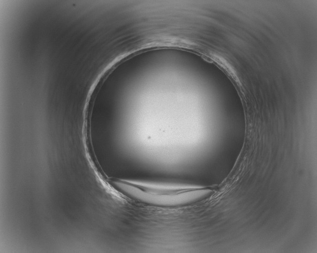 X0000075411136200610061950