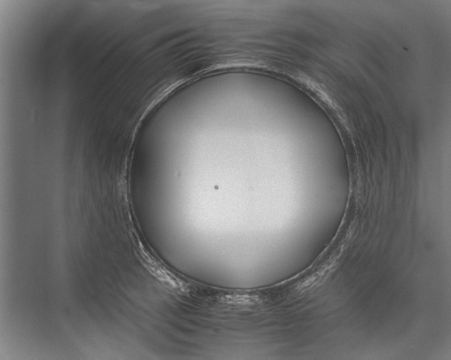 X0000075411137200610061950