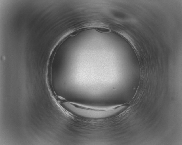 X0000075411139200610061950