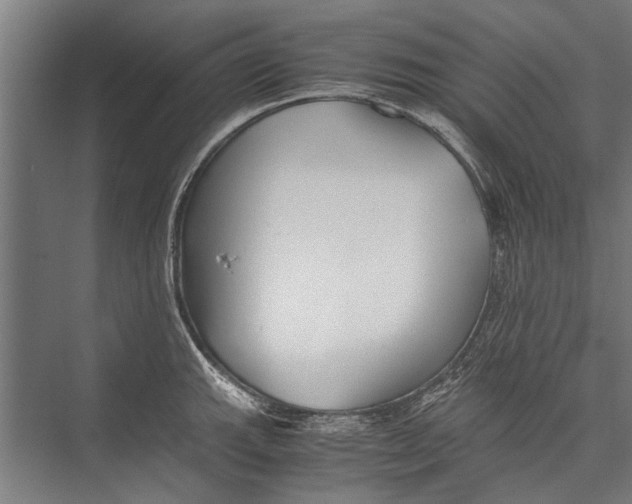 X0000075411143200610061951