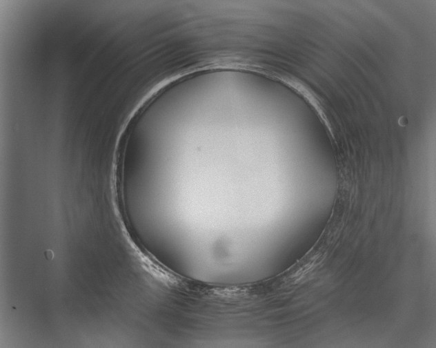 X0000075411147200610061951