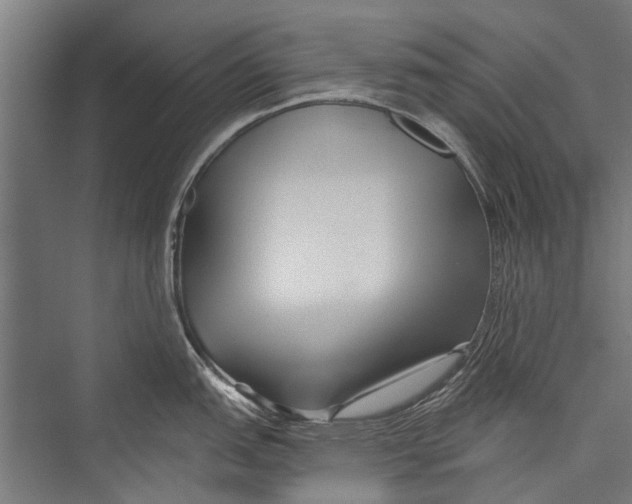 X0000075411151200610061951