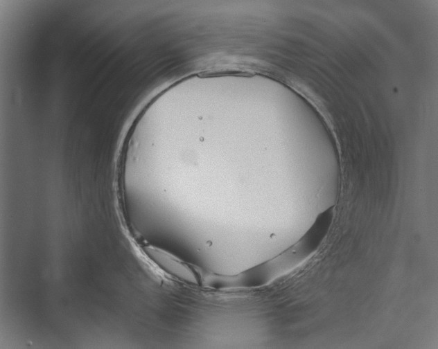 X0000075411152200610061951