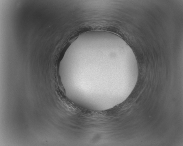 X0000075411153200610061950