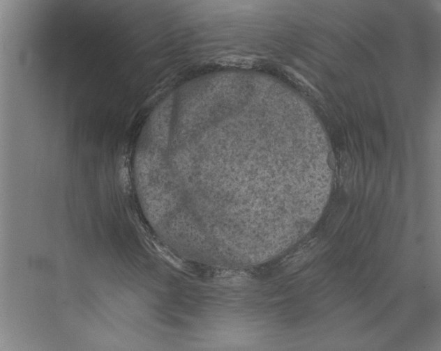 X0000075411154200610061950